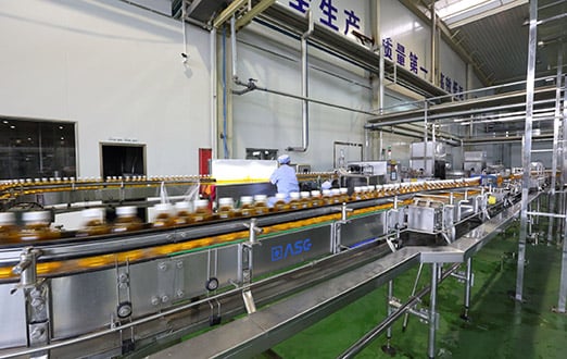 Conveyors_img012