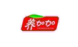 yangjiajia